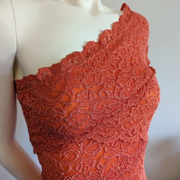 Lace Dress - Picture 4 of 5